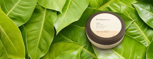 Cacau Body Butter