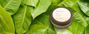 Cacau Body Scrub