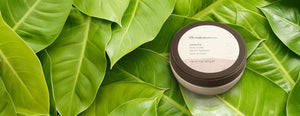 Castanha Body Butter