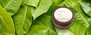 Castanha Body Scrub