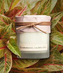 Castanha Scented Candle