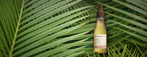 Castanha Dry Body Oil