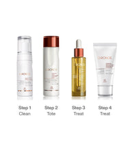 Load image into Gallery viewer, Purifying &amp; Luminous Routine, Dry/Normal Skin
