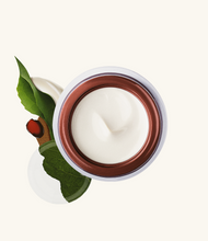 Load image into Gallery viewer, Revitalization and Filling Face Cream 60+ Refill
