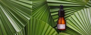 Açaí Concentrated Oil